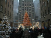 rockefeller-center-tree.jpg